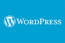 怎么判断wordpress网站和主题