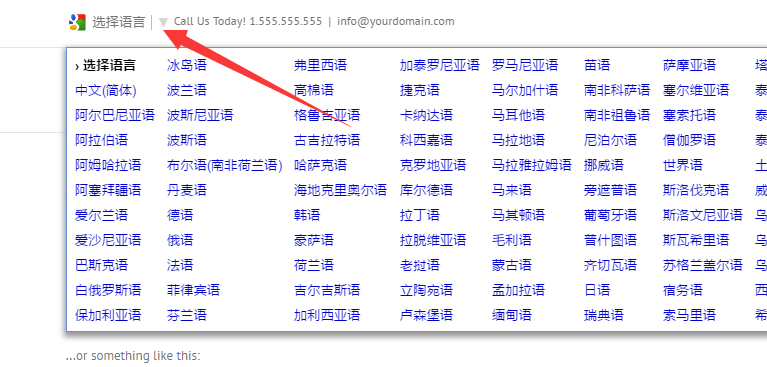 如何在Avada网站添加Google翻译 9