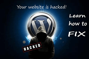  What to do if the website is hacked