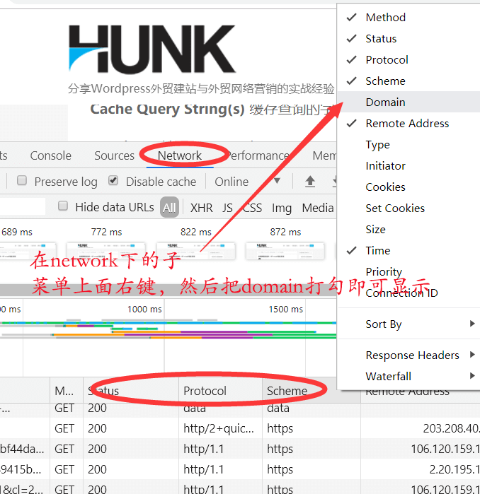  The wp bucket tutorial displays the domain menu under the browser network