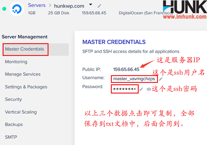 cloudways查看服务器ip 2