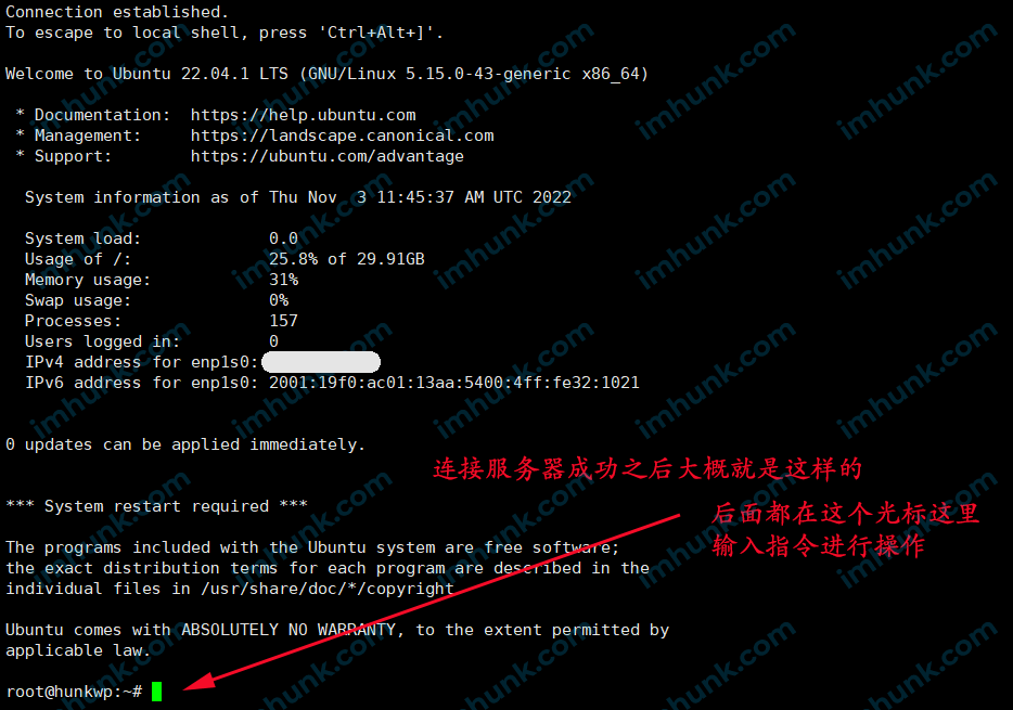 在vultr上安装lnmp，wordpress网站和ssl手把手教程 1