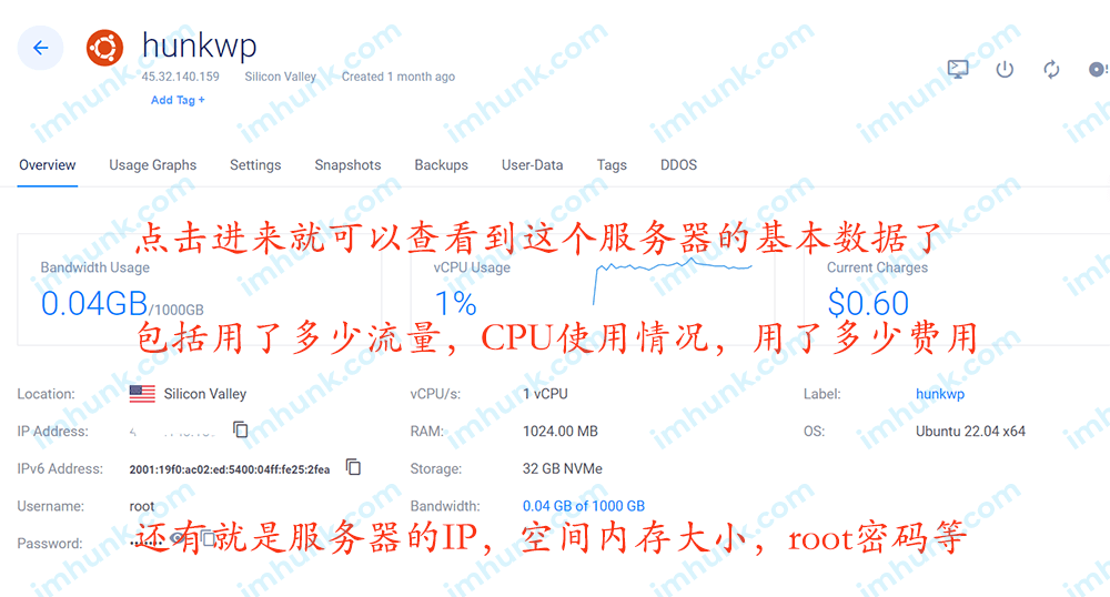 怎么查看Vultr的服务器IP等基本信息？2